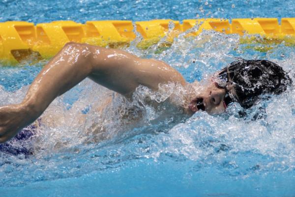 游泳選手比賽中進行自由式划水